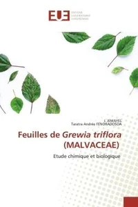Feuilles de Grewia triflora (Malvaceae)