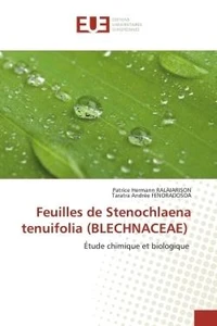 Feuilles de Stenochlaena tenuifolia (Blechnaceae)
