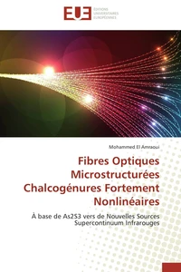 Fibres Optiques Microstructurées Chalcogénures Fortement Nonlinéaires