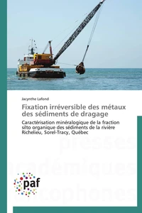 Fixation irréversible des métaux des sédiments de dragage
