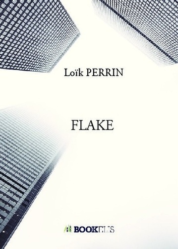 Loïk Perrin - Flake.