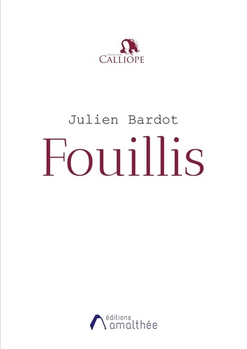 Julien Bardot - Fouillis.