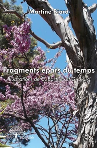 Fragments épars du temps