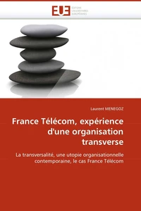 France télécom, expérience d''une organisation transverse