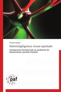 Héminégligence visuo-spatiale