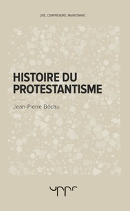 Histoire du protestantisme.pdf