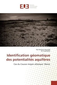 Identification geomatique des potentialites aquiferes