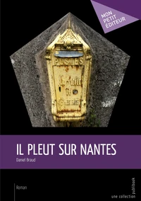 Il pleut sur Nantes