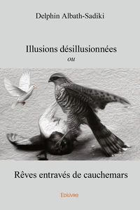 Illusions désillusionnées