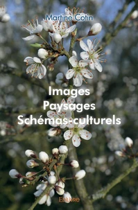 Images, paysages, schémas-culturels