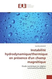 Instabilite hydrodynamique/thermique en presence d'un champ magnetique