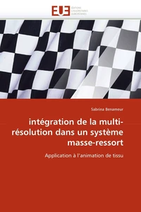 Intégration de la multi-résolution dans un système masse-ressort