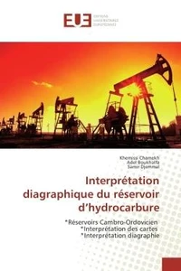 Interpretation diagraphique du reservoir d'hydrocarbure