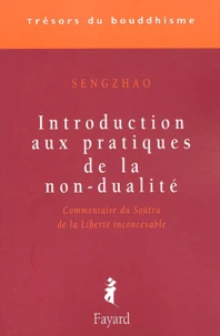 Introduction aux pratiques de la non-dualité