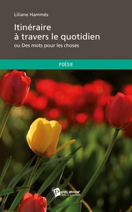 Itinéraire à travers le quotidien