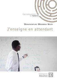 J'enseigne en attendant