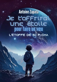 Je t'offrirai une étoile pour faire un voeu