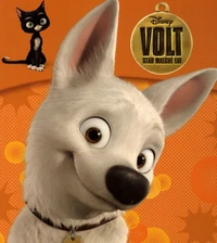 Volt