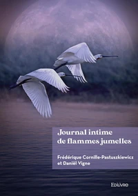 Journal intime de flammes jumelles