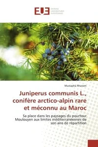 Juniperus communis L., conifere arctico-alpin rare et meconnu au Maroc