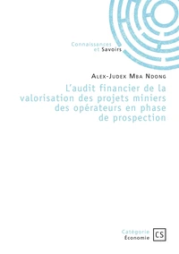 L'audit financier de la valorisation des projets miniers des opérateurs en phase de prospection