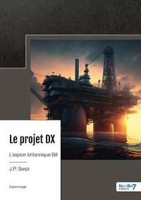 Le projet DX