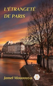 L'étrangeté de Paris