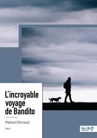 L'incroyable voyage de Bandito