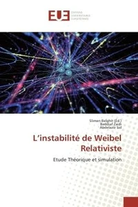 L'instabilite de Weibel Relativiste