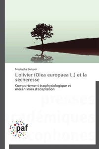L'olivier (Olea europaea L) et la sécheresse