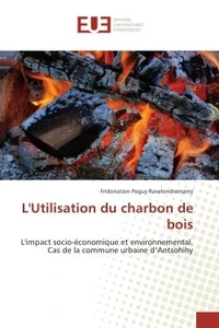 L'Utilisation du charbon de bois