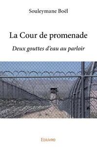 La Cour de promenade