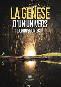 La genèse d'un univers