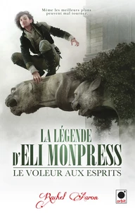 Le voleur aux esprits