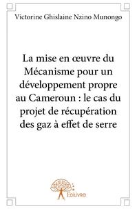 La mise en oeuvre du mécanisme pour un développement propre au Cameroun : le cas du projet de récupération des gaz à effet de serre