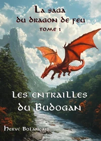 La Saga du dragon de feu - Tome 1