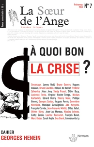 A quoi bon la crise ?