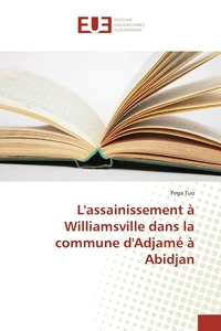 Lassainissement à Williamsville dans la commune dAdjamé à Abidjan