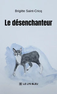 Le désenchanteur