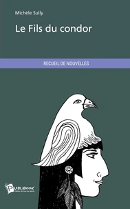 Le fils du condor