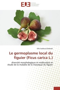 Debbabi olfa Saddoud - Le germoplasme local du figuier (Ficus carica L.) - diversité morphologique et moléculaire et étude de la maladie de la mosaïque du figuier.