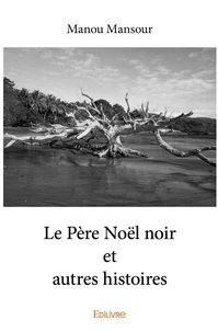 Le père noël noir et autres histoires