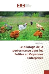 Le pilotage de la performance dans les Petites et Moyennes entreprises