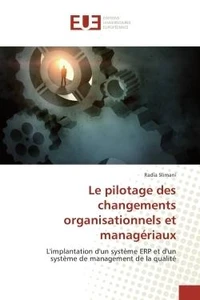 Le pilotage des changements organisationnels et manageriaux