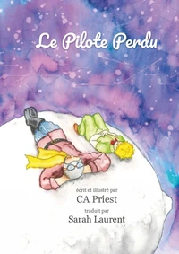 Le pilote perdu