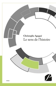 Christophe Agogué - Le sens de l'histoire.