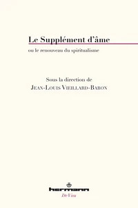 Le supplément d'âme