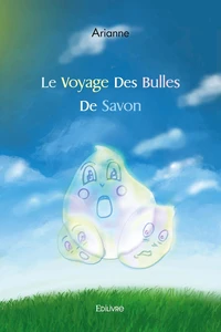 Le voyage des bulles de savon