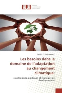 Les besoins dans le domaine de l'adaptation au changement climatique: