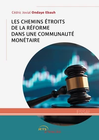 Les chemins étroits de la réforme dans une communauté monétaire